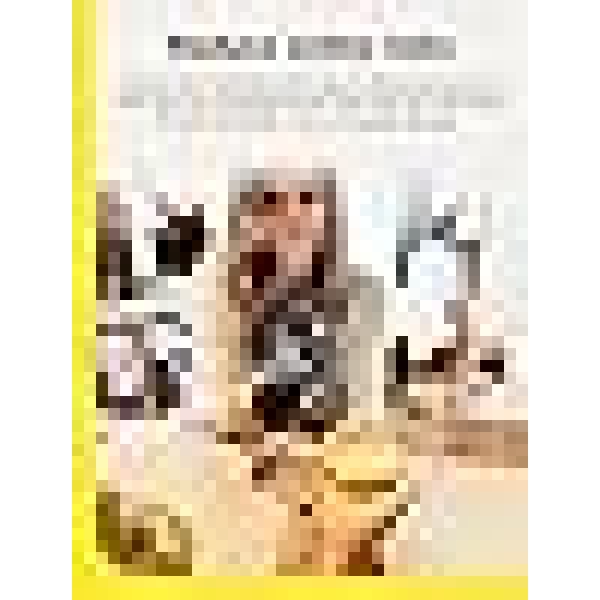 Norton Small Business 2025 | Business Cyber Security With Antivirus |20 Devices |1 Year | 24/7 Business Tech Support | 250GB PC Cloud Backup | Password Manager | Digital Download | (Copy) - Image 3